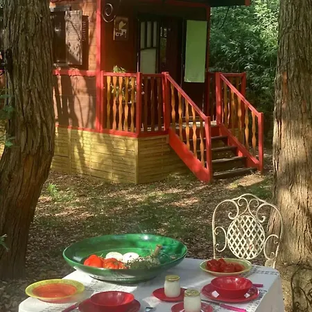 Roulotte De Luxe Avec Piscine Partagee A *